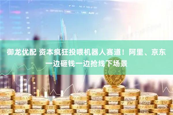 御龙优配 资本疯狂投喂机器人赛道！阿里、京东一边砸钱一边抢线下场景