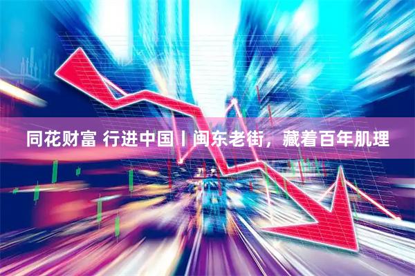 同花财富 行进中国丨闽东老街，藏着百年肌理